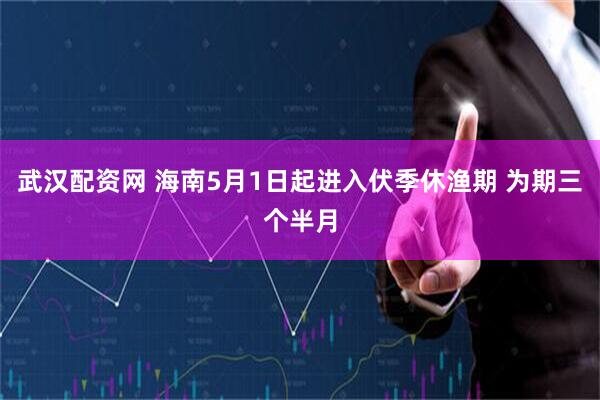 武汉配资网 海南5月1日起进入伏季休渔期 为期三个半月